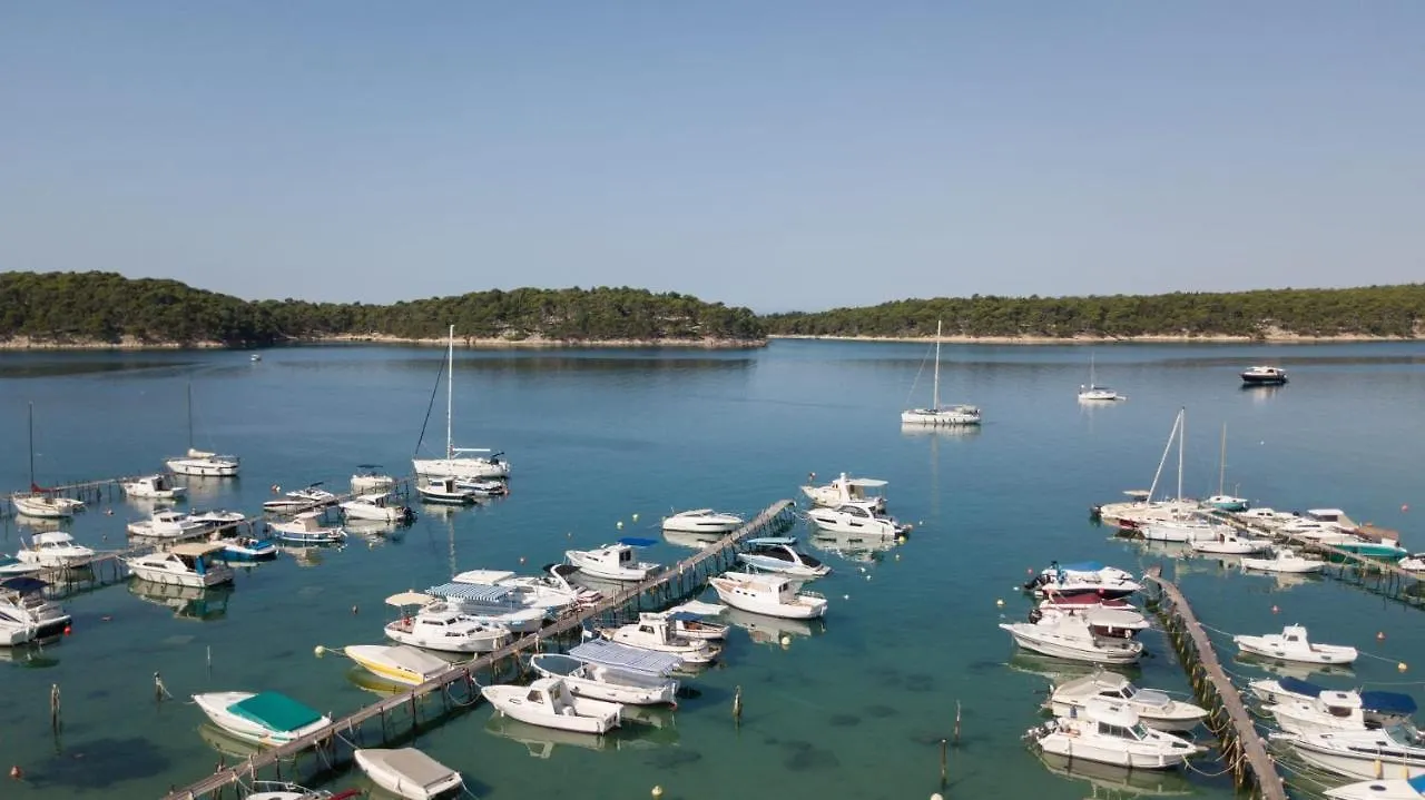 Apartment Apartmani Devcic Palit Croatia